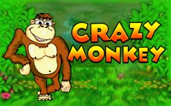 Crazy Monkey